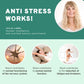 Anti Stress Capsules: Schisandra, Rhodiola, Ashwagandha, Vitamin B12